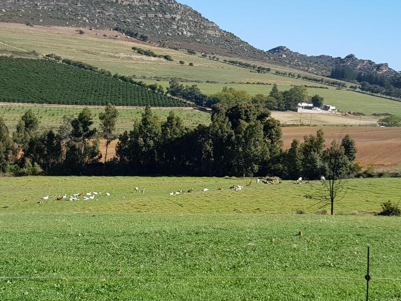 6 Bedroom Property for Sale in Piketberg Rural Western Cape